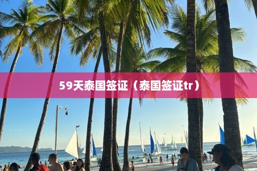 59天泰国签证（泰国签证tr）