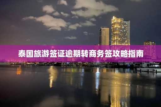 泰国旅游签证逾期转商务签攻略指南