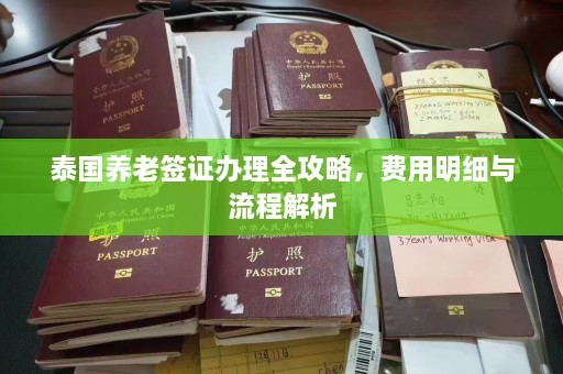 泰国养老签证办理全攻略，费用明细与流程解析