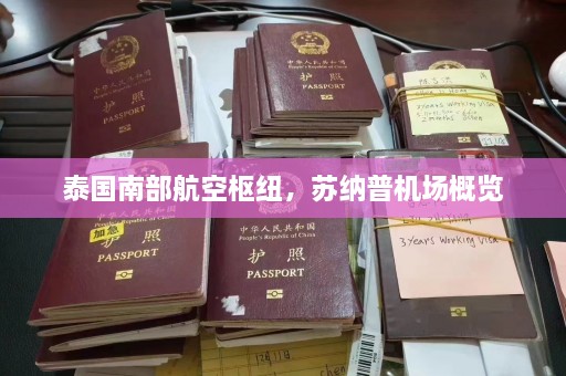 泰国南部航空枢纽，苏纳普机场概览