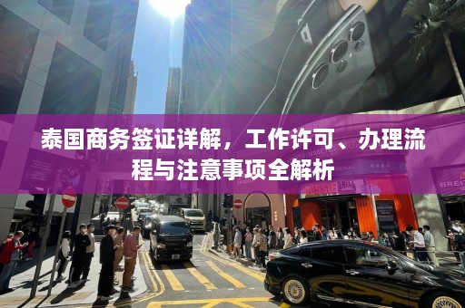 泰国商务签证详解，工作许可、办理流程与注意事项全解析