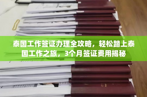 泰国工作签证办理全攻略，轻松踏上泰国工作之旅，3个月签证费用揭秘