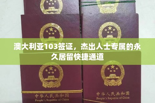 澳大利亚103签证，杰出人士专属的永久居留快捷通道