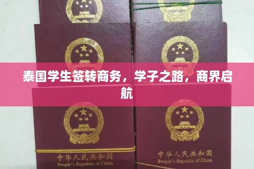 泰国学生签转商务，学子之路，商界启航  第1张