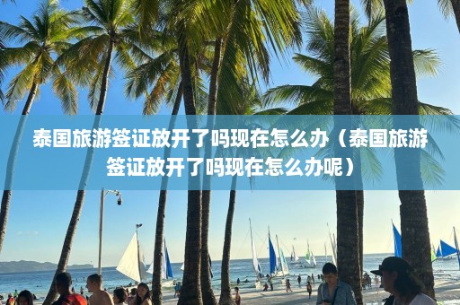 泰国旅游签证放开了吗现在怎么办（泰国旅游签证放开了吗现在怎么办呢）