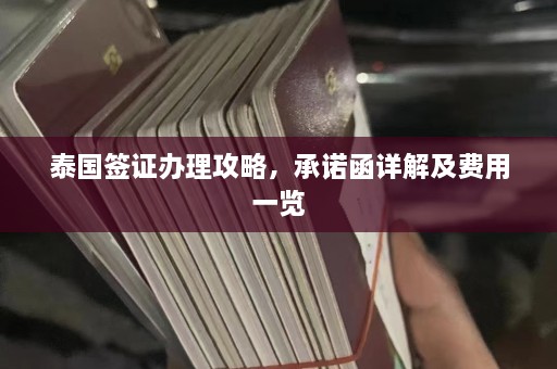 泰国签证办理攻略，承诺函详解及费用一览