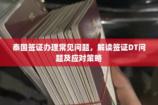 泰国签证办理常见问题，解读签证DT问题及应对策略