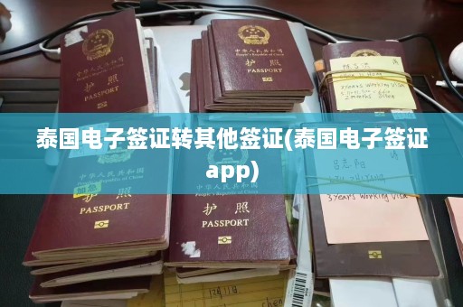 泰国电子签证转其他签证(泰国电子签证app)