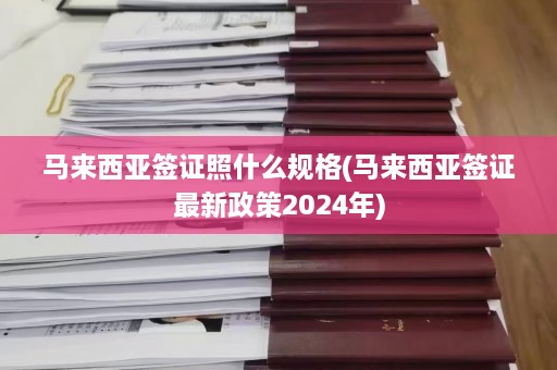 马来西亚签证照什么规格(马来西亚签证最新政策2024年)