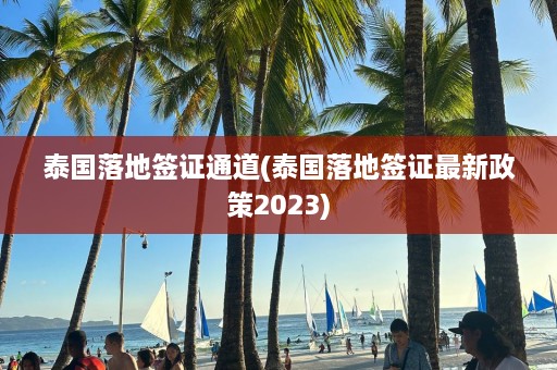 泰国落地签证通道(泰国落地签证最新政策2023)