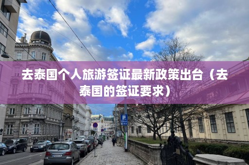 去泰国个人旅游签证最新政策出台（去泰国的签证要求）  第1张