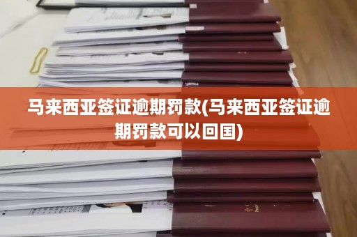 马来西亚签证逾期罚款(马来西亚签证逾期罚款可以回国)