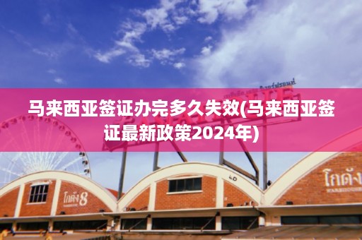 马来西亚签证办完多久失效(马来西亚签证最新政策2024年)