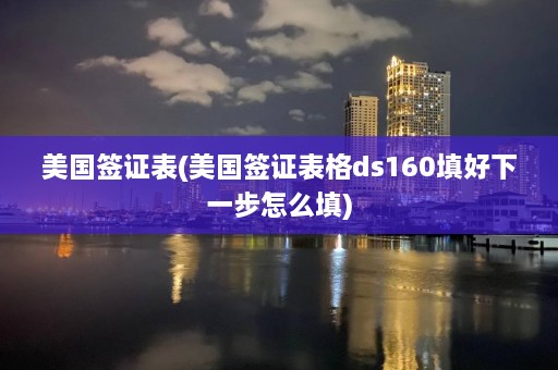 美国签证表(美国签证表格ds160填好下一步怎么填)