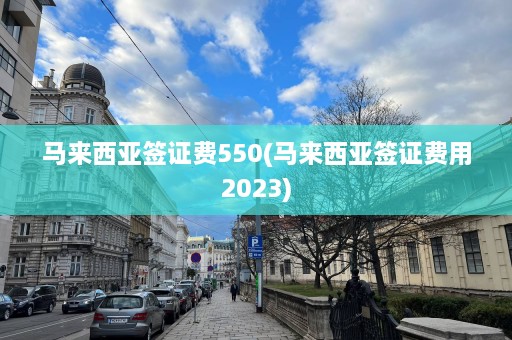 马来西亚签证费550(马来西亚签证费用2023)