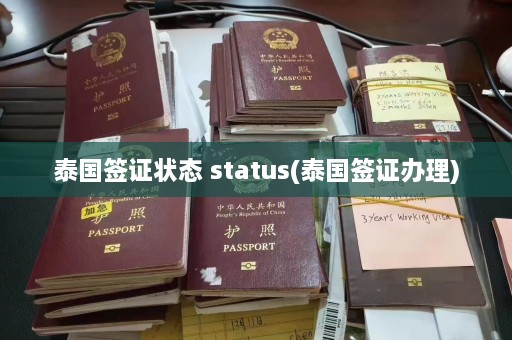 泰国签证状态 status(泰国签证办理)