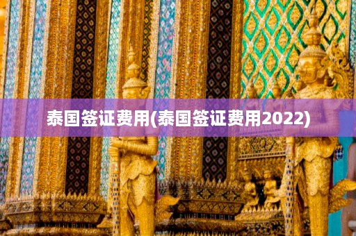 泰国签证费用(泰国签证费用2022)