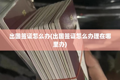 出国签证怎么办(出国签证怎么办理在哪里办)