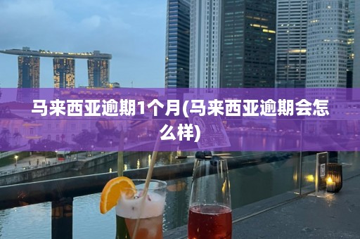 马来西亚逾期1个月(马来西亚逾期会怎么样)