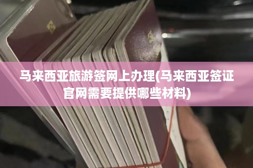 马来西亚旅游签网上办理(马来西亚签证官网需要提供哪些材料)