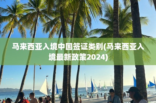 马来西亚入境中国签证类别(马来西亚入境最新政策2024)