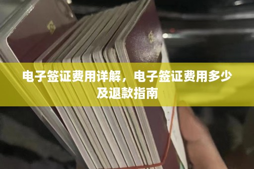 电子签证费用详解，电子签证费用多少及退款指南