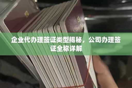 企业代办理签证类型揭秘，公司办理签证全称详解