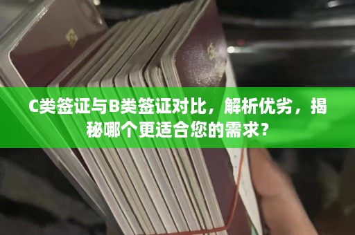 C类签证与B类签证对比，解析优劣，揭秘哪个更适合您的需求？