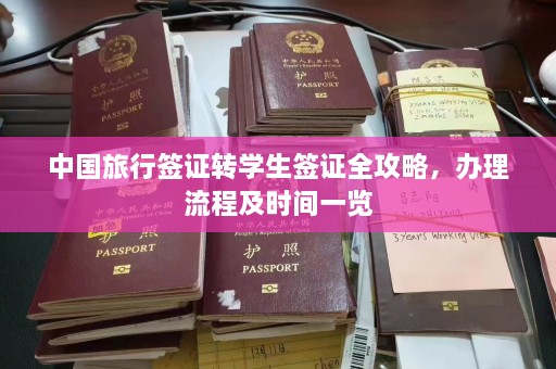 中国旅行签证转学生签证全攻略，办理流程及时间一览