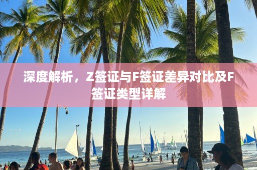 深度解析，Z签证与F签证差异对比及F签证类型详解