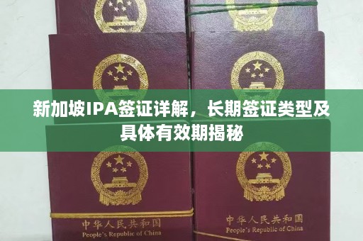 新加坡IPA签证详解，长期签证类型及具体有效期揭秘