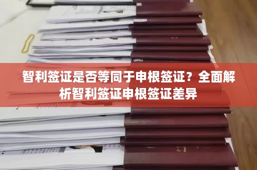 智利签证是否等同于申根签证？全面解析智利签证申根签证差异