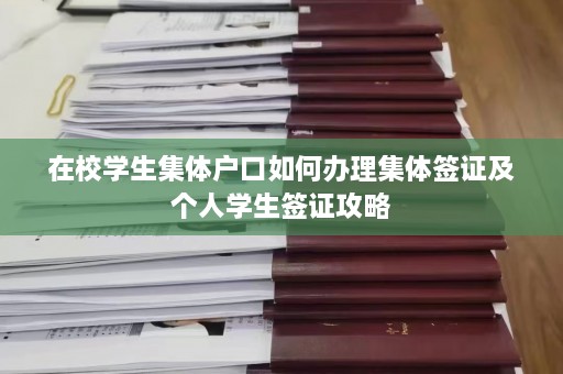 在校学生集体户口如何办理集体签证及个人学生签证攻略