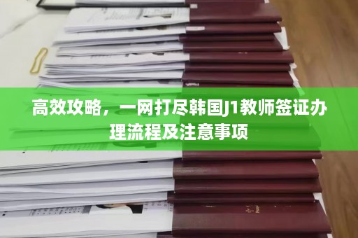 高效攻略，一网打尽韩国J1教师签证办理流程及注意事项  第1张