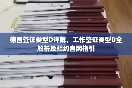 德国签证类型D详解，工作签证类型D全解析及预约官网指引