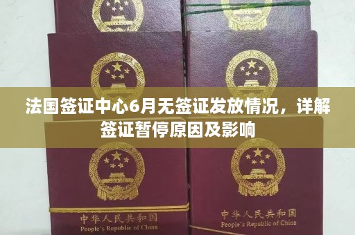 法国签证中心6月无签证发放情况，详解签证暂停原因及影响