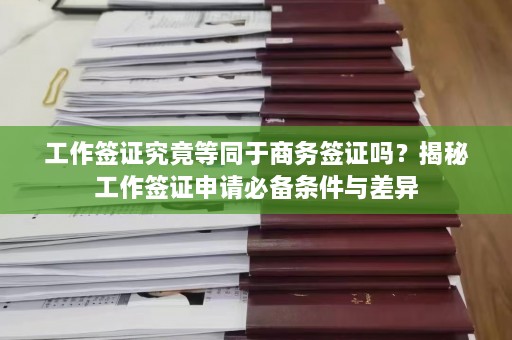 工作签证究竟等同于商务签证吗？揭秘工作签证申请必备条件与差异