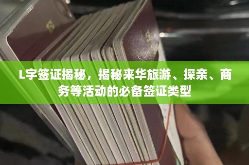 L字签证揭秘，揭秘来华旅游、探亲、商务等活动的必备签证类型