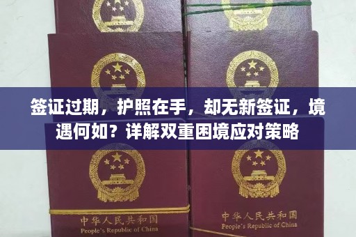 签证过期，护照在手，却无新签证，境遇何如？详解双重困境应对策略