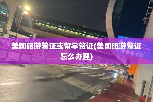 美国旅游签证或留学签证(美国旅游签证怎么办理)