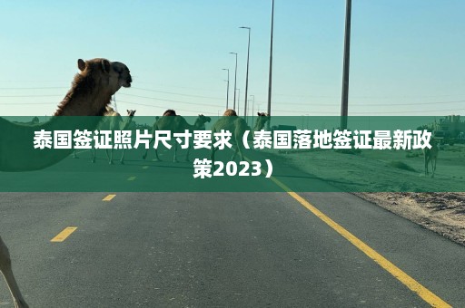 泰国签证照片尺寸要求（泰国落地签证最新政策2023）