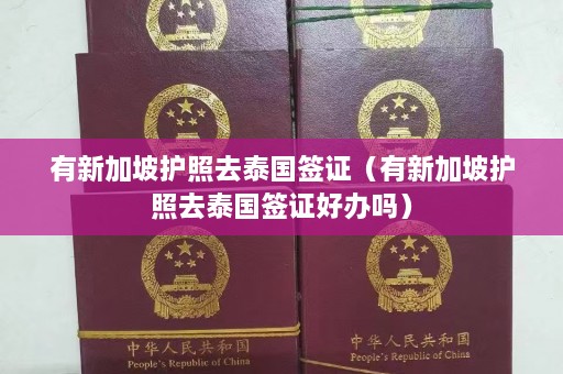 有新加坡护照去泰国签证（有新加坡护照去泰国签证好办吗）