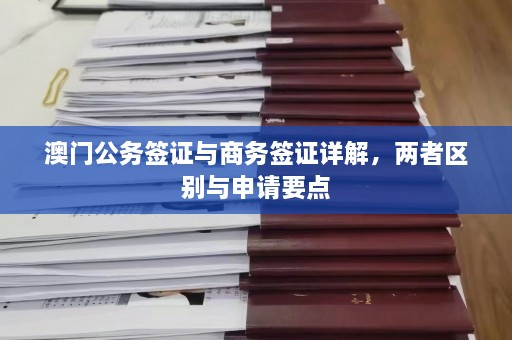  *** 公务签证与商务签证详解，两者区别与申请要点