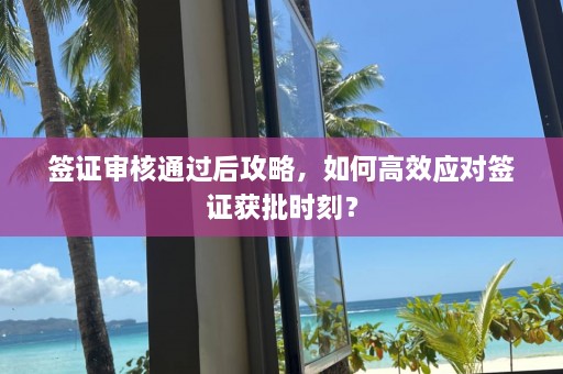 签证审核通过后攻略，如何高效应对签证获批时刻？