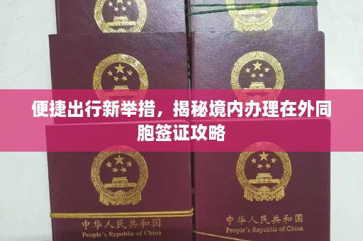 便捷出行新举措，揭秘境内办理在外同胞签证攻略