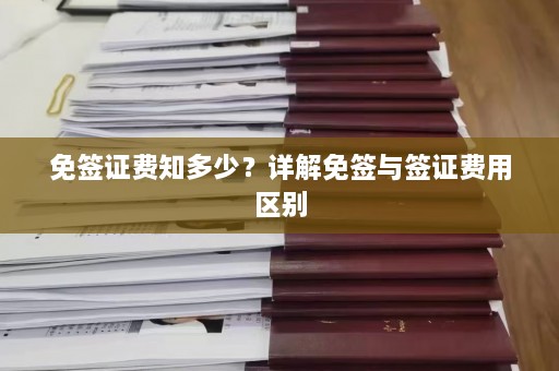 免签证费知多少？详解免签与签证费用区别