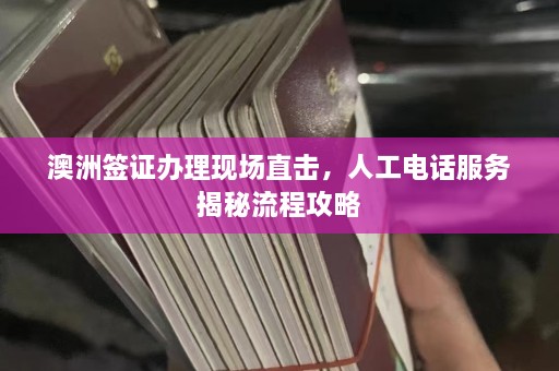 澳洲签证办理现场直击，人工电话服务揭秘流程攻略