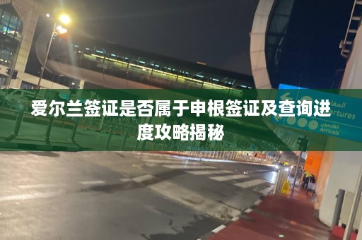 爱尔兰签证是否属于申根签证及查询进度攻略揭秘