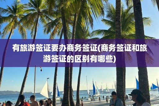 有旅游签证要办商务签证(商务签证和旅游签证的区别有哪些)