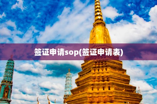 签证申请sop(签证申请表)